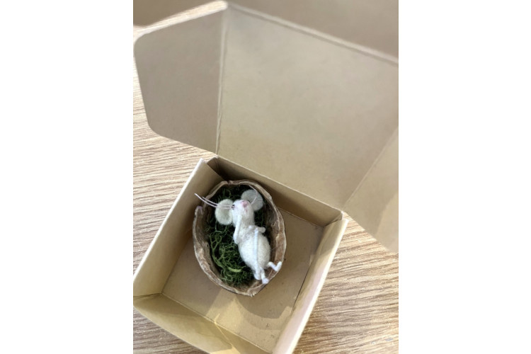 Our Craft Nook Mouse in a Nutshell