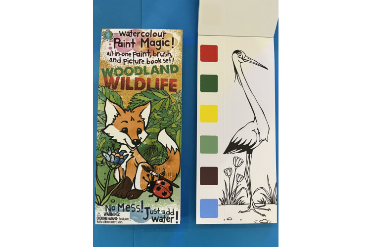 Paint Magic Woodland Wildlife