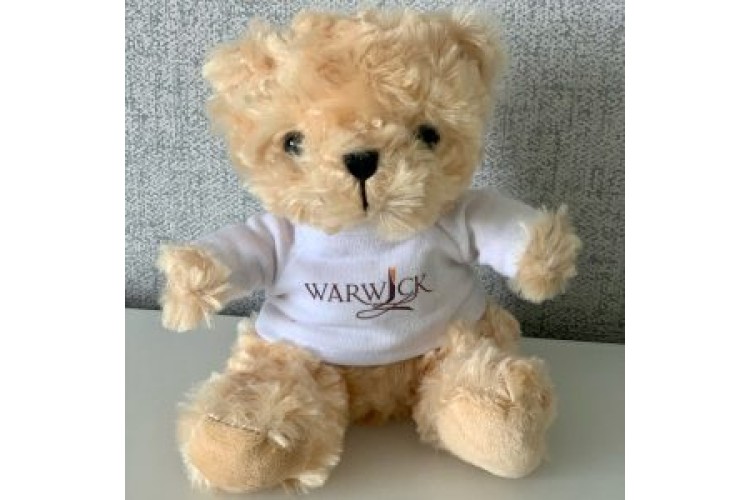 Warwick Teddy Bear with Tee-shirt. Seated height 13cm suitable all ages