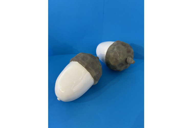 White Willow Art Acorn